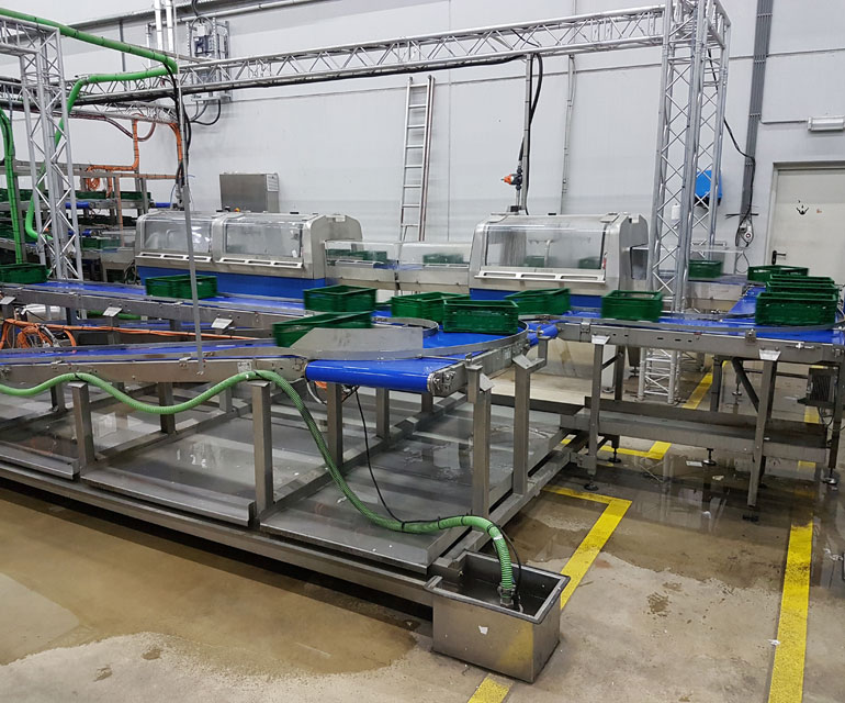 Toepassing van een aluminium bandtransporteur type N60