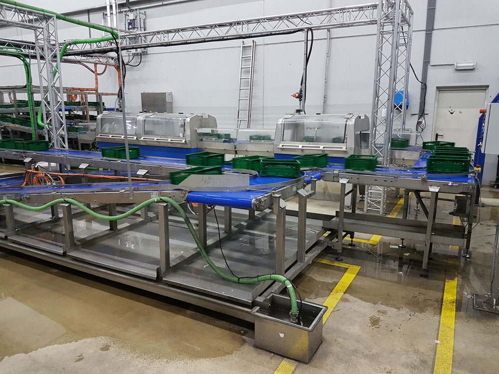  Stainless steel belt conveyors at a crate washer