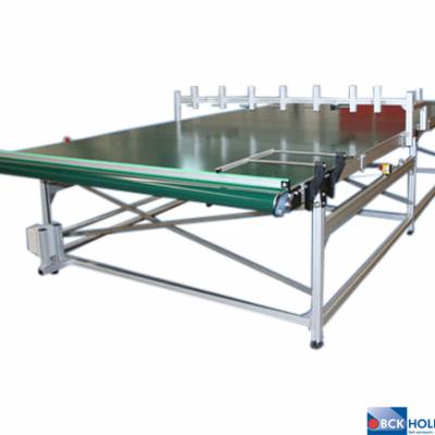 177353 N60+  Bandtransporteur