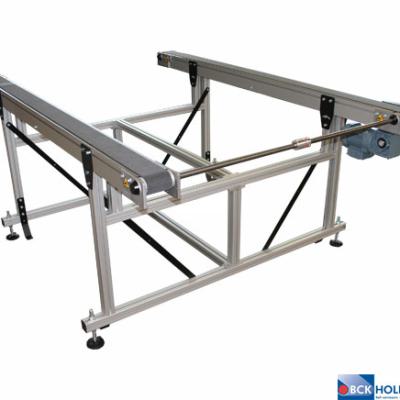 234932 Type N60 D20 Bandtransporteur Met 2 Gekoppelde Sporen