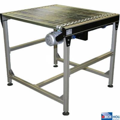 155982 Ds50 Aangedreven Rollerbaan Met Laag Profiel