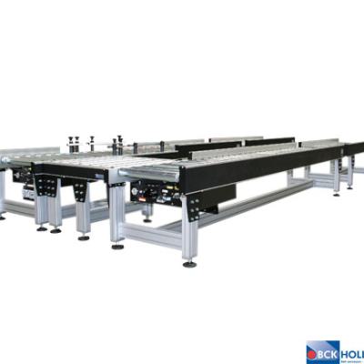 223325 Rd50 Aangedreven Rollenbanen Met Transfers