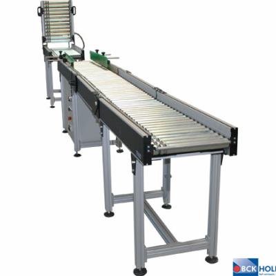 234569 Aangedreven rollenbaan type RD50 met klapsectie