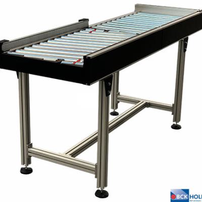 246139 Aangedreven rollenbaan type RD50