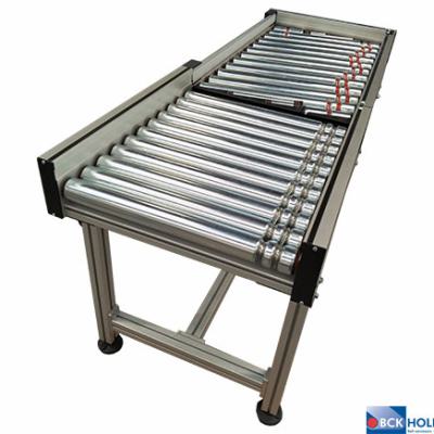 256727 Aangedreven rollenbaan