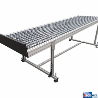 Rollenbaan Met Rollenrails Variant