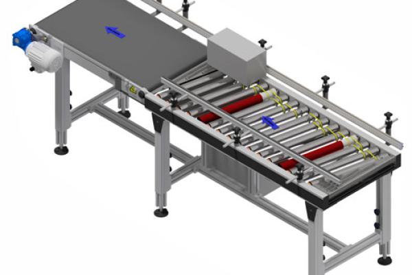 10. Aligning for coding and labelling.