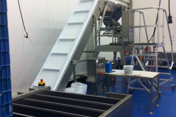 Articulated conveyor to pack biscuits