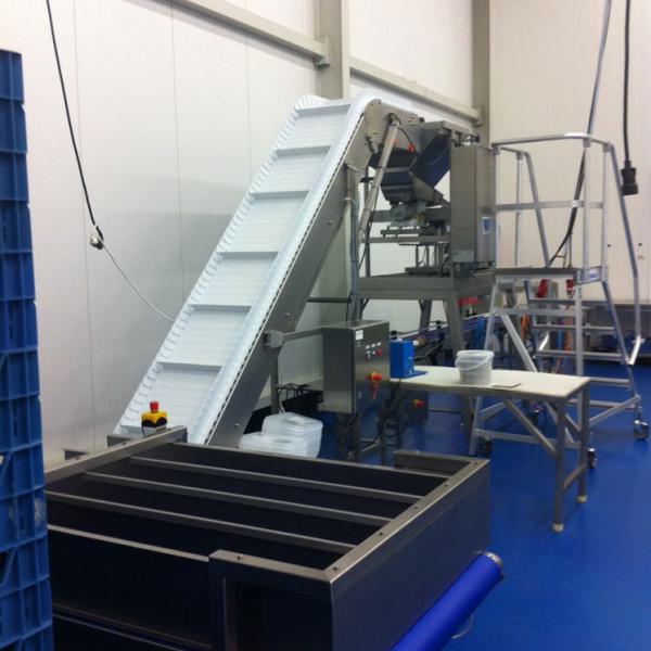 Articulated conveyor to pack biscuits