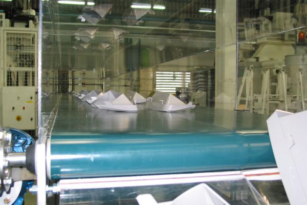 Bandtransporteur met kunststof producten