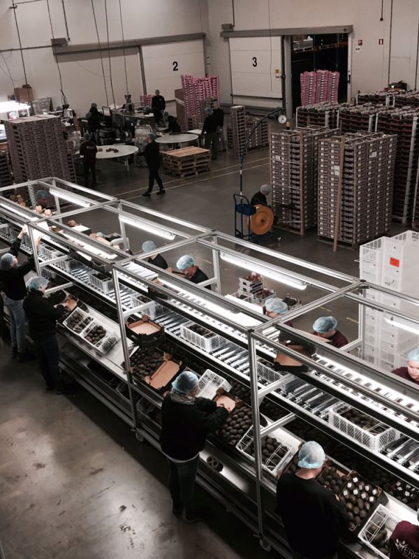 Packing station in the fresh produce industry
