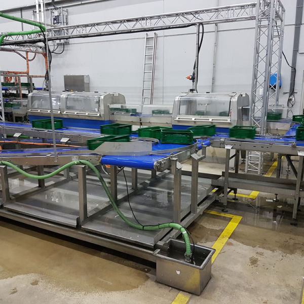  Stainless steel belt conveyors at a crate washer