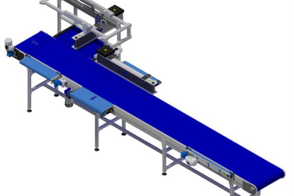 12. Uitlijnen, geleiden en uitsorteren van tassen.